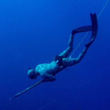 Dive and Spearfishing